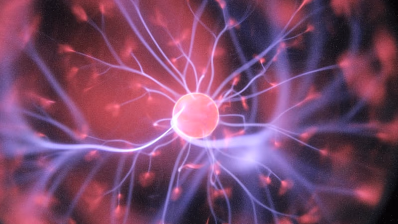 Neuroplasticity: How Your Brain Rewires Itself (and How to Help It)